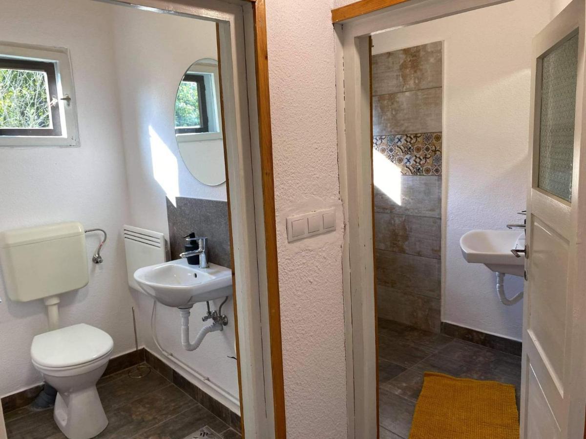 ホテル Casa Bucataria Fonix プライド エクステリア 写真