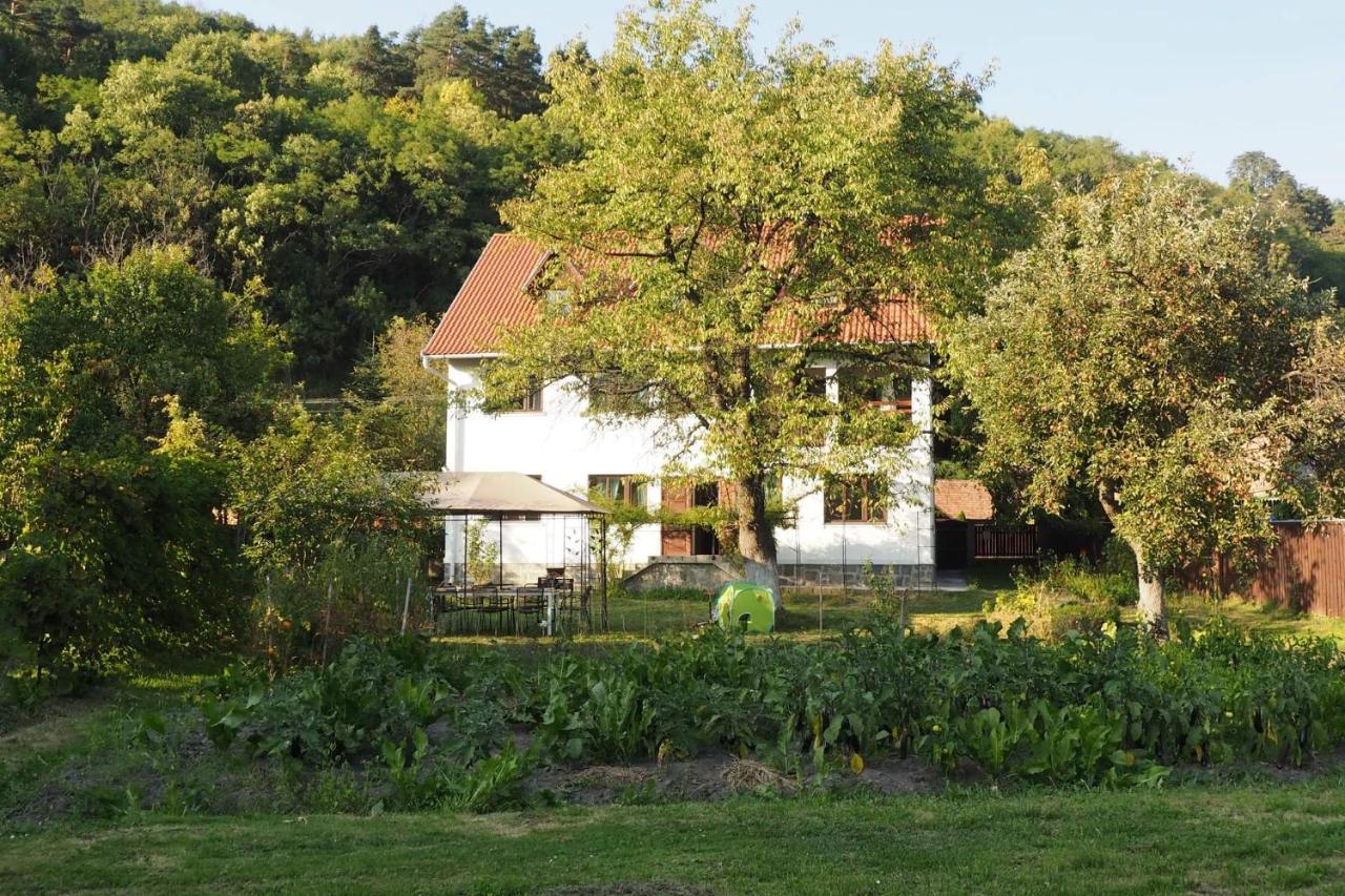 ホテル Casa Bucataria Fonix プライド エクステリア 写真