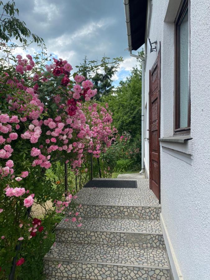 ホテル Casa Bucataria Fonix プライド エクステリア 写真