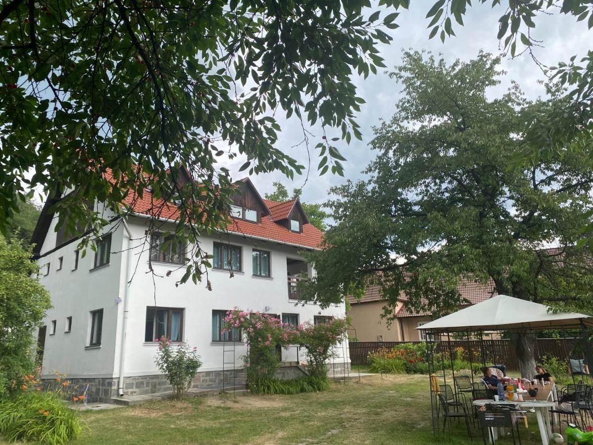 ホテル Casa Bucataria Fonix プライド エクステリア 写真